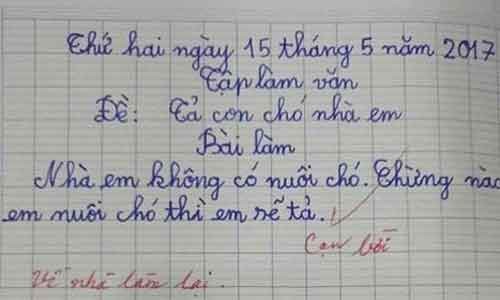 Cạn lời với những bài văn "bá đạo" của học sinh