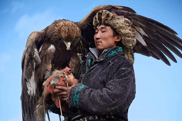 Một số ít những người thuộc dân tộc Kyrgyzstan và Kazakh sinh sống ở vùng Siberia của Nga đến sa mạc Gobi của Mông Cổ vẫn còn lưu giữ truyền thống thuần dưỡng đại bàng đi săn thú rừng.