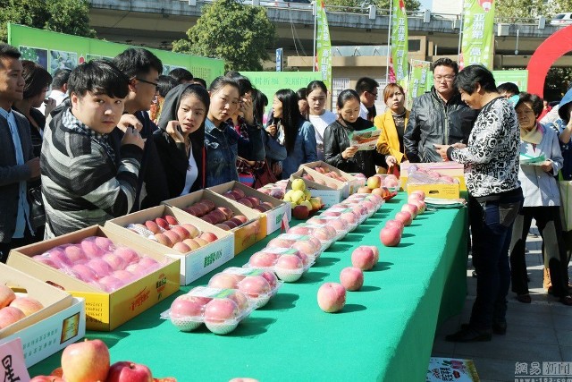 Vào cuối mùa táo ở Trịnh Châu (Trung Quốc), văn phòng du lịch địa phương đã tổ chức một sự kiện phân phát những quả  táo cuối mùa thu hút hàng trăm người dân và du khách tham gia.