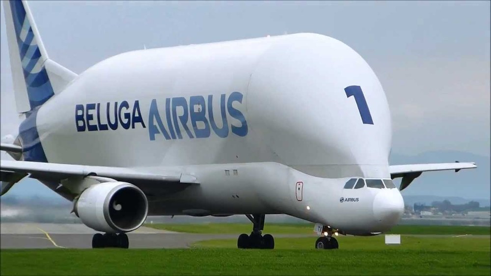 Chiếc máy bay vận tải Airbus Beluga có thiết kế giống “cá heo đầu gù’”được xem là một trong những dòng  máy bay kỳ lạ nhất thế giới. Hình dáng chiếc máy bay này làm người ta liên tưởng đến những chú cá heo Beluga có phần đầu gù lên và đó cũng là lý do người ta còn gọi với cái tên quen thuộc Airbus Beluga.