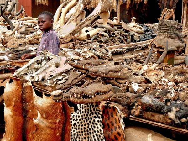 Chợ tà thuật Lomé (Togo, Tây Phi): Khu  chợ kỳ quặc này bán chân voi, tay tinh tinh, tim ngựa và những bộ phận khác của các loại động vật. Các nguyên liệu này không phải dùng để nấu ăn mà cho các phương pháp chữa bệnh truyền thống.