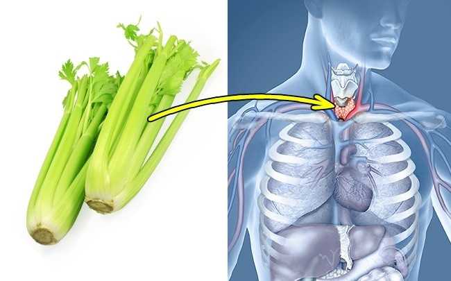 Tuyến giáp: Muốn  giải độc tố tuyến giáp cần sử dụng đến cần tây. Loại rau này cũng giúp làm sạch máu và ngăn ngừa sự tích tụ acid uric trong các khớp. Ngoài ra, siêu thực phẩm này còn giúp ích rất nhiều trong những trường hợp viêm tuyến giáp. Ảnh: Deposit.