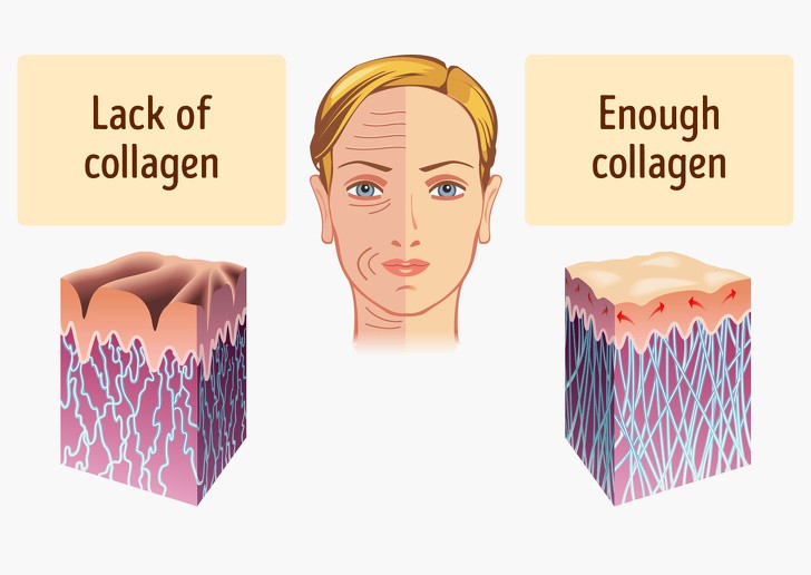 Cơ thể con người có thể tự sản xuất lượng collagen cần thiết. Tuy nhiên, sau tuổi 25, mức độ sản xuất tự nhiên bắt đầu chậm lại. Đây là lúc các nếp nhăn đầu tiên xuất hiện. Để ngăn ngừa da lão hóa, chúng ta nên bổ sung các  thực phẩm giàu collagen.