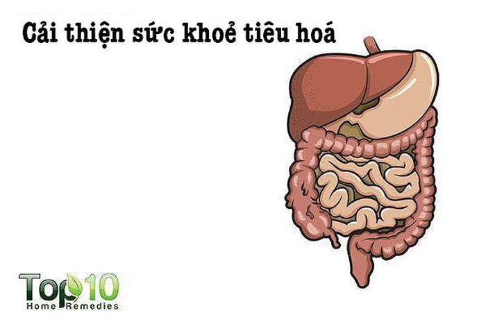 Cải thiện sức khỏe tiêu hóa: Lượng enzyme tiêu hóa cao trong  hạt đu đủ giúp phá vỡ các sợi protein và hỗ trợ quá trình tiêu hóa tự nhiên. Vì hạt đu đủ có đặc tính kháng khuẩn, chúng có thể chống lại nhiễm trùng E.coli, salmonella và staphylococcus. Ngoài ra, các hạt đu đủ giúp bình thường hóa môi trường axit trong đường ruột cho một hệ thống tiêu hóa khỏe mạnh.