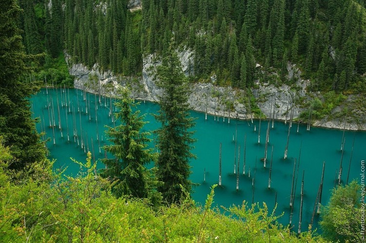 Hồ Kaindy, nằm trong  khu rừng xanh mướt Sunken (Kazakhstan). Hồ được hình thành sau một trận động đất vào năm 1911. Bên trong lòng hồ là những cây vân sam mọc thẳng đứng, từ xa giống như những ngọn giáo khổng lồ. Ảnh: Aboutkazakhstan.