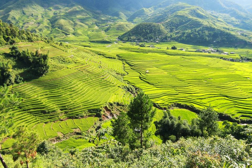 Chỉ trong vài ngày "phượt" ngắn ngủi cùng bạn bè, anh Aloha Nguyen đã ghi lại được hàng trăm bức ảnh đẹp về mùa lúa chín ở  Mù Cang Chải.