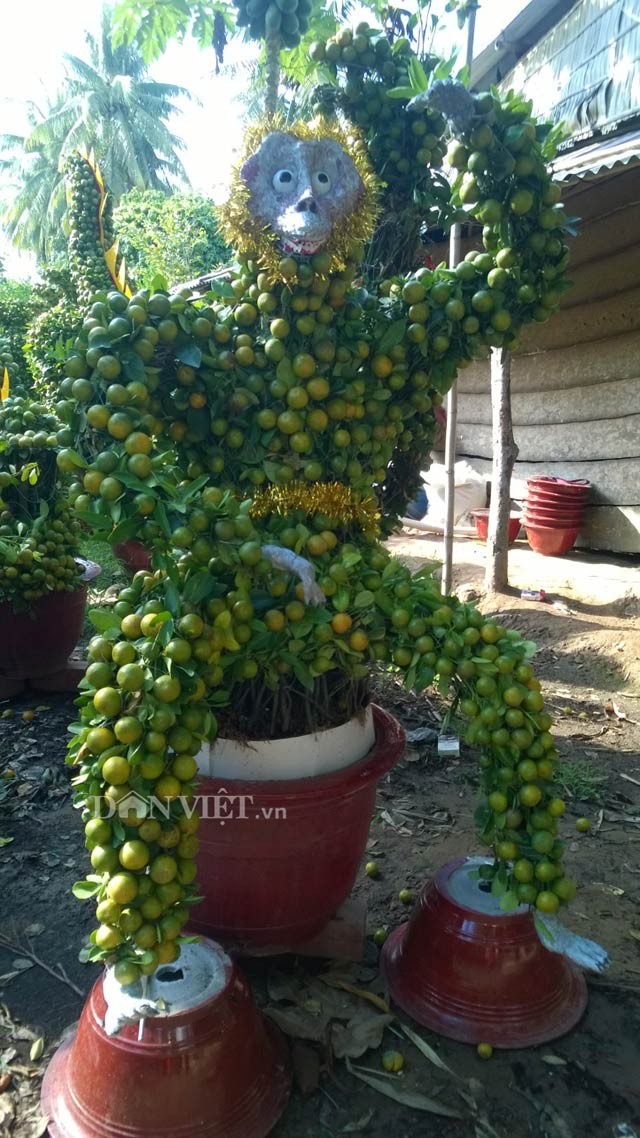 Trong số đó, xã Hưng Khánh Trung B là nơi tạo ra nhiều sản phẩm nhất. Ngoài "đặc sản" năm nay là  quất cảnh tạo hình khỉ, vương quốc hoa, cây kiểng này còn có nhiều sản phẩm tạo hình độc đáo khác như: rồng, lân, hình tháp… Mặc dù được bán với giá khá cao, từ 1-8 triệu đồng/chậu (1 con) nhưng sản phẩm nơi đây làm ra bao nhiêu cũng không đủ bán.