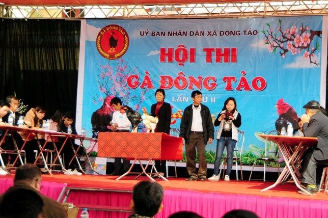 Sáng 17/1, Hội thi  gà Đông Tảo đã diễn ra tại xã Đông Tảo (Khoái Châu, Hưng Yên). Đây là lần thứ 2 cuộc thi được tổ chức nhằm tìm ra con “gà tiến vua” đẹp nhất.