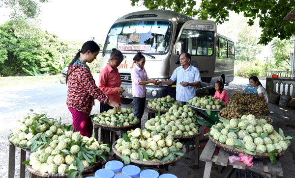 Nhờ có lợi thế sát mặt đường Quốc lộ 37, ông Nguyễn Ngọc Lương, xóm 5, xã Thái Bình mở quán bán na dai, rất đông khách qua đường mua na, nhãn từ cửa hàng hoa quả nhà ông.