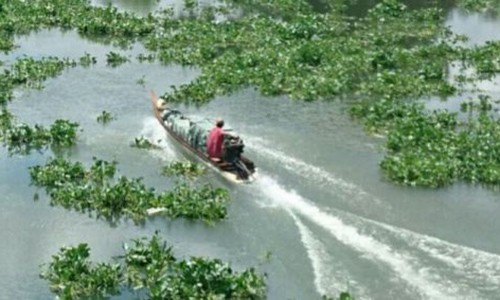 Nhóm buôn lậu truy sát kinh hoàng, 1 cán bộ hy sinh