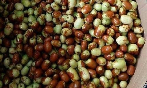 Táo tàu Hàn Quốc xách tay hơn 700 đồng/kg vẫn cháy hàng