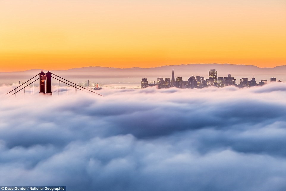 Cầu Cổng Vàng ở San Francisco, California, Mỹ nổi bật trên màn sương bồng bềnh buổi sớm mai.