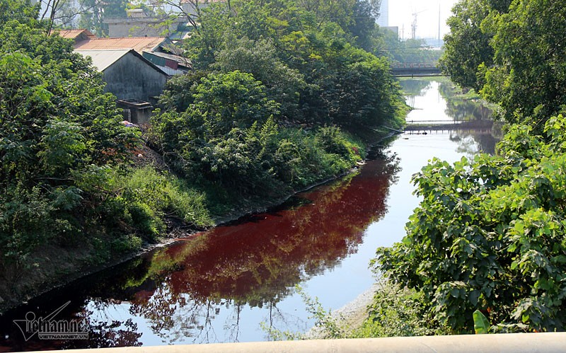 Nhánh sông chảy qua cầu La Khê, thuộc thôn Ý La, Dương Nội từ lâu đã trở thành điểm nóng về ô nhiễm môi trường. Theo phản ánh của một số hộ dân, đều đặn mỗi ngày các xí nghiệp dệt, xưởng in quanh khu vực xả ra một lượng lớn nước thải có màu đỏ thẫm, bốc mùi hôi nồng nặc nhuộm đỏ một nhánh sông dài. Anh Nam, một người sống tại đây cho biết: “Cạnh khu vực xả thải có một số nhà máy dệt, nhuộm đang hoạt động, hằng ngày thải nước có màu tím, đỏ làm biến màu cả một khúc sông, những hôm thời tiết nắng nóng, trên bề mặt sông nổi lên chi chít những váng bọt nhìn rất đáng sợ”.