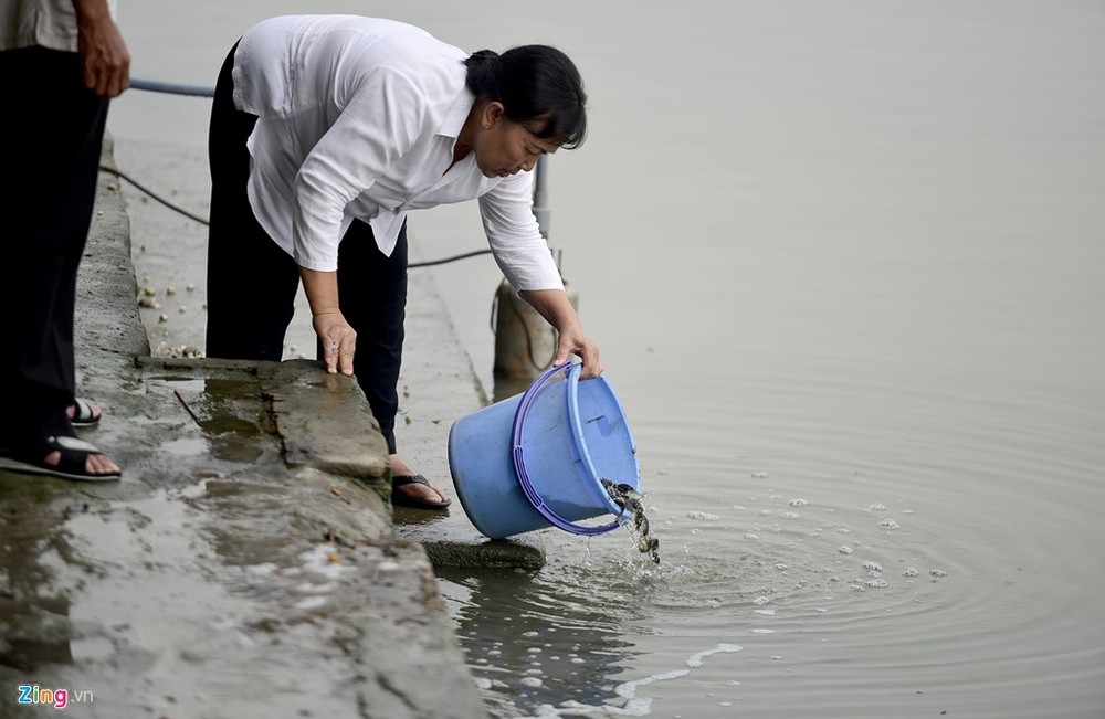 Sáng 20/1, nhiều gia đình ở TP.HCM tìm đến các sông Sài Gòn, Vàm Thuật... để thả cá, chim phóng sinh dịp cúng ông Táo.