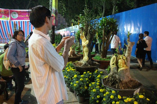 Những ngày qua tại khu vực chợ hoa 23/9, công viên Tao Đàn, hội Hoa Xuân quận 2 có trưng bày và bán các chậu  cây kiểng tạo hình độc đáo nhận được quan tâm của người