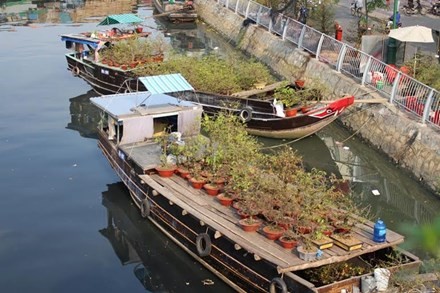 Nằm ven kênh Tàu Hủ,  chợ hoa bến Bình Đông được xem là chợ hoa trên sông lâu đời nhất Sài Gòn. Đây là nơi tập kết của phần lớn thuyền hoa ở các tỉnh miền Tây.