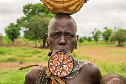 Một  phụ nữ châu Phi thuộc bộ lạc Mursi ở thung lũng Omo (Ethiopia) với cái đĩa nhét vào vành môi. Đây là dấu hiệu về sự trưởng thành của người phụ nữ, đã có thể sẵn sàng sinh đẻ. Để có được vành môi "khủng" như vậy, họ tăng dần kích cỡ các đĩa bằng đất sét hoặc gỗ.