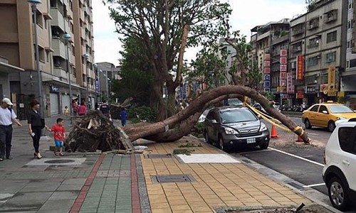 Những vụ thoát chết ngoạn mục, kỳ bí nhất thế giới