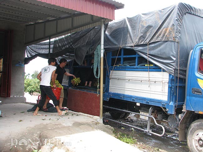 Phường Phương Nam những ngày trung tuần tháng 5 năm nay nhộn nhịp hơn bao giờ hết.