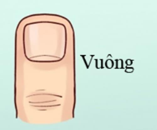  Ngón tay vuông và phẳng: Đây là một người cẩn thận, tỉ mỉ, luôn thích mọi thứ rõ ràng và không thích sự mơ hồ. Làm việc gì cũng phải chắc chắn từng ly từng tí, nếu không sẽ không bao giờ yên tâm. Tài vận của  phụ nữ có ngón tay vuông, phẳng cực lớn, chắc chắn sẽ giàu sau năm 30 tuổi nhưng tình duyên hơi lận đận. Sinh con khá muộn.