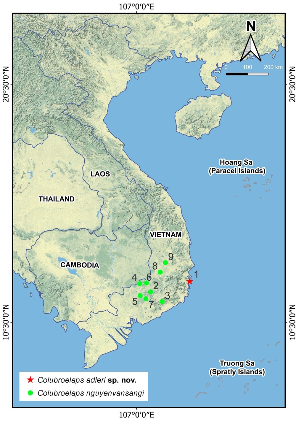 Các nhà khoa học Việt Nam và Nga, bao gồm thạc sĩ Nguyễn Văn Tân (Đại học Duy Tân, Đà Nẵng), Nikolay A. Poyarkov và Andrey M. Bragin (đều thuộc Đại học Quốc gia Moskva, Nga) đã phát hiện và mô tả về một  loài rắn mới, được tìm thấy trên Hòn Tre, một hòn đảo nhỏ thuộc tỉnh Khánh Hòa. Ảnh: Nhóm nghiên cứu/Herpetozoa