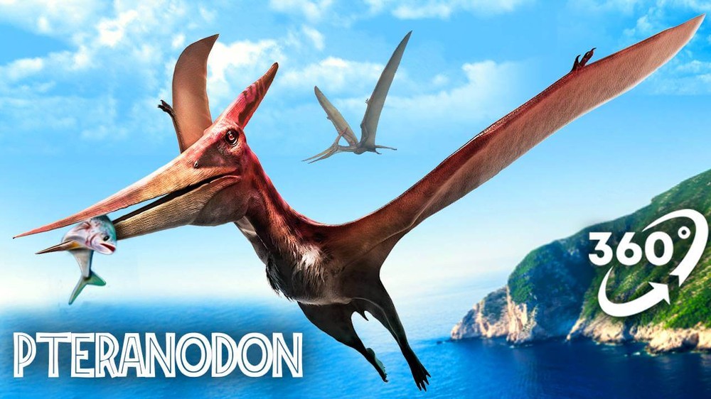 Pteranodon và họ hàng của nó - loài thằn lằn bay (pterosaurs), là một trong những loài  động vật nổi tiếng nhất trong thời tiền sử. Nhưng thực tế, thằn lằn bay không phải khủng long. Ảnh: Art Station