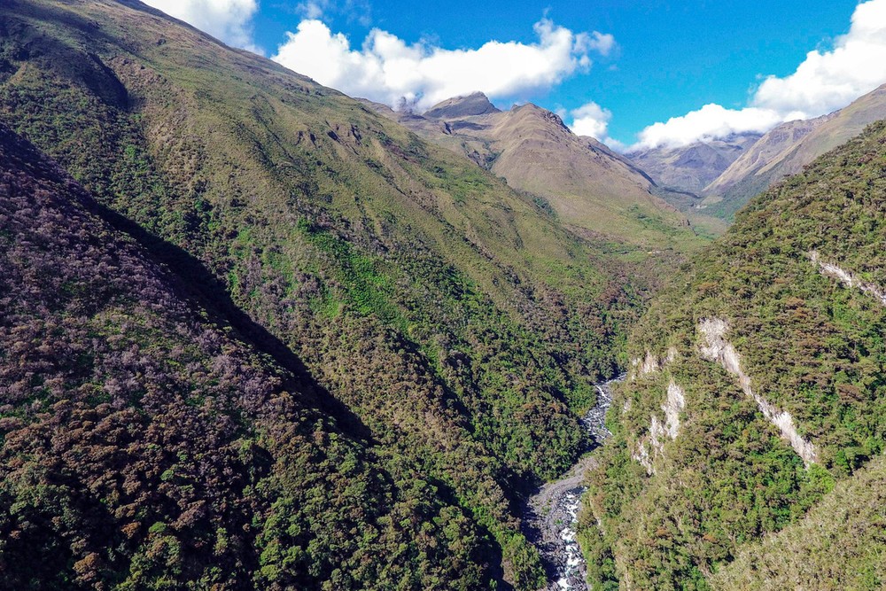 Được thành lập vào năm 1995, Vườn quốc gia Madidi, Bolivia -  nơi đa dạng sinh học nhất Trái đất trải dài trên độ cao từ 182m đến 6.000m so với mực nước biển và rộng khoảng 18.130km2. Đây là vùng tiếp giáp giữa đồng bằng Amazon và dải Andes - 2 địa danh nổi nhất tiếng Nam Mỹ. Theo The New York Times, vị trí địa lý đặc biệt cùng cao độ thay đổi rõ rệt làm cho hệ sinh thái ở Madidi đa dạng với đủ loại từ rừng sương mù, rừng thấp đến sông, suối, đầm lầy, và thậm chí cả những lớp băng vĩnh cửu.