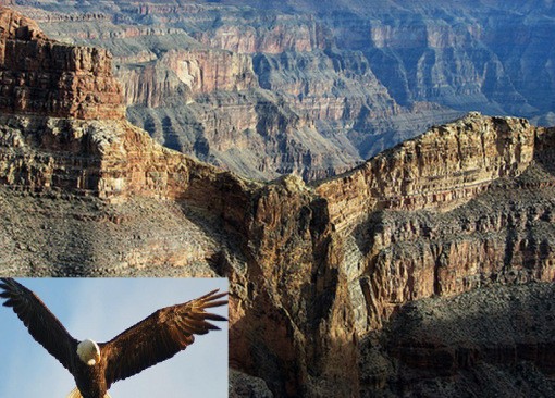 Một dãy núi trong Công viên quốc gia Grand Canyon, Arizona (Mỹ) có hình dáng hùng vĩ y hệt như một con đại bàng – biểu tượng của nước Mỹ. Khối đá tự nhiên này tự khoác lên mình dung mạo sống động của một loài  động vật.