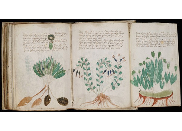 Cuốn bản thảo Voynich được coi là văn kiện cổ kỳ bí nhất trong lịch sử nhân loại. Cuốn bản thảo Voynich có niên đại khoảng 700 năm. Người đưa cuốn sách này tới với thế giới hiện đại vào năm 1912 là Wilfrid Voynich, ông tìm thấy nó tại thư viện của biệt thự Mondragone, trường dòng Jésuite (Rome) giữa chồng bản thảo cổ. Điểm nổi bật khiến bản thảo Voynich trở thành cuốn sách bí ẩn nhất trong lịch sử nhân loại nằm ở những dòng chữ chép tay và hình ảnh trong cuốn sách. Đây là những ký tự được mã hóa khó đọc nhất trên thế giới.