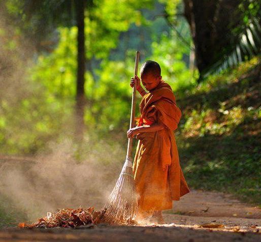 Kiếp này được làm người, tại sao không tu? 