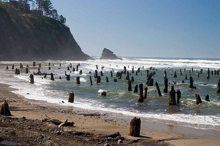 Tại thị trấn ven biển nhỏ Neskowin ở quận Tillamook, Oregon, Mỹ vẫn còn tàn tích của khu rừng vân sam cổ đại. Ảnh Amusingplanet