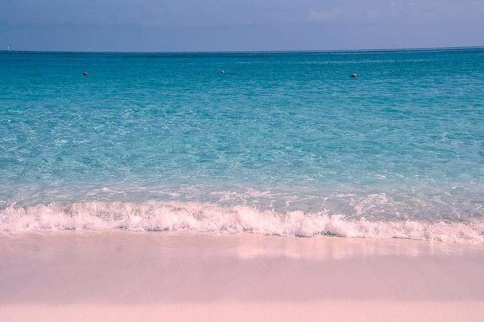 1. Đảo Harbour, Bahamas. Đảo Harbour được biết đến với bãi cát hồng tự nhiên cùng những bãi biển dài, những rạn san hô đầy màu sắc và làn nước trong veo. Với độ dài 3,5 dặm cát hồng mềm mại dọc theo bờ biển phía đông của hòn đảo, nước biển màu xanh ngọc đã khiến cho nơi đây trở thành nơi lý tưởng để du khách trải nghiệm lặn với ống dưỡng khí, lặn, bơi lội, câu cá và chèo thuyền. Môi trường nhiệt đới của hòn đảo, tầm nhìn ra đại dương và những làn gió nhẹ tạo nên một nơi nghỉ ngơi yên tĩnh.