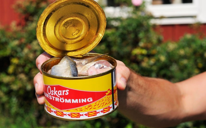  Surströmming, Thụy Điển: Đây là món  đặc sản có mùi khủng khiếp vô cùng. Cá trích vùng Baltic được đánh bắt khi đang đầy trứng, sau đó được cho thêm lượng muối chỉ vừa đủ để tránh cho cá khỏi thối rữa và để khoảng sáu tháng. Quá trình lên men khiến cá có mùi nồng nặc đặc trưng và vị chua. Ảnh: Telegraph.