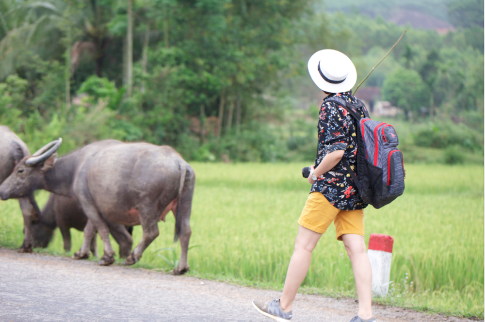 "Việt Nam những chuyến đi" là MV mới được  Vicky Nhung hoàn thành sau hơn 1 tháng rong ruổi tại các danh lam thắng cảnh tuyệt đẹp của Việt Nam.