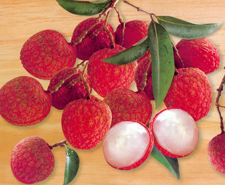 Vải là loại trái cây có tính ngọt thuộc nhóm soapberry; thường được trồng ở Philippines, Indonesia, Việt Nam, Trung Quốc và Ấn Độ. Vải thường chín rộ vào mùa hè, chứa lượng vitamin và khoáng chất dồi dào.