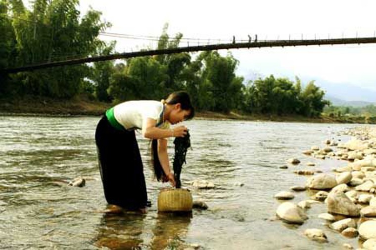 Rêu suối có ba loại: Loại mọc trên đá thành sợi như sợi tóc, màu hơi sẫm có thể làm món nộm; Rêu mọc rời rạc có màu xanh và rêu mọc ở các khe suối không bám chặt vào đá.