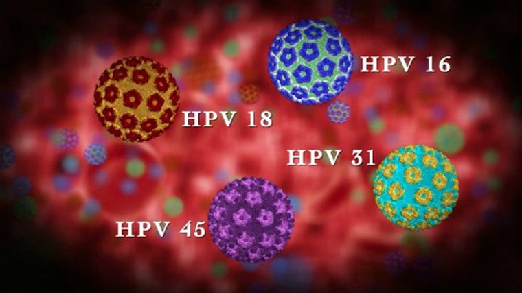 HPV là virus lây truyền qua đường tình dục phổ biến nhất thế giới. Hầu hết nam giới có khả năng nhiễm loại virus này trong suốt cuộc đời mình. Có hơn 100 chủng HPV. Một vài chủng gây mụn có sinh dục (LR) trong khi một vài chủng như 16 và 18 (HR) có khả năng gây ung thư hậu môn, dương vật, cổ họng.