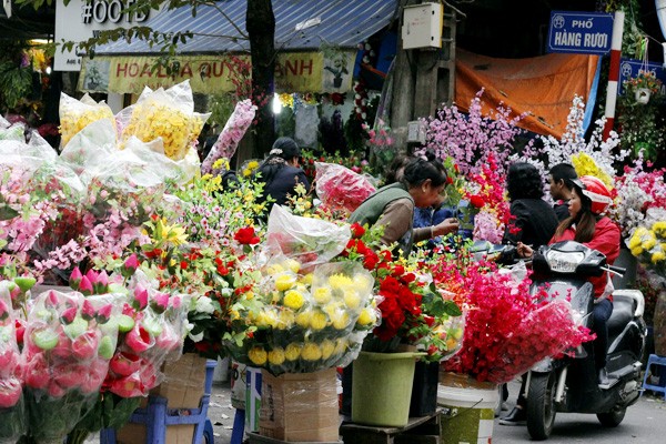 Những ngày cận  Tết Nguyên đán Đinh Dậu 2017, nhiều chợ hoa ở Hà Nội rực rỡ với đủ các loại hoa được chào bán lung linh sắc màu.