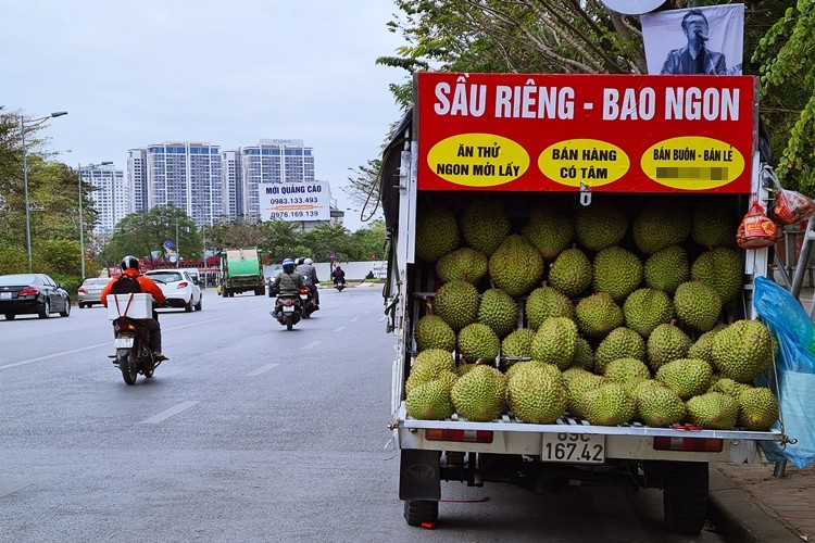 Những ngày cận Tết Nguyên đán Tân Sửu 2021, trên nhiều tuyến phố ở Hà Nội xuất hiện nhan nhản các loại xe ô tô, xe máy, xe đạp ngang nhiên dừng đỗ lấn chiếm lòng đường, vỉa hè để bày bán  hoa quả không rõ nguồn gốc gây cản trở giao thông.