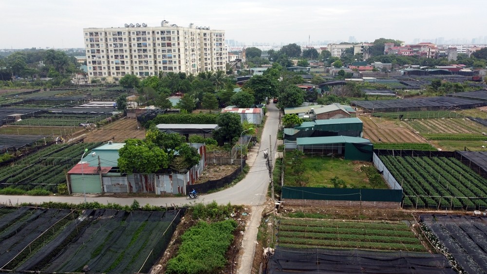 Ngày 29/10/2024, trao đổi với phóng viên (PV) Báo Tri thức và Cuộc sống, ông Nguyễn Quang Thậm - Chủ tịch UBND phường Tây Tựu (Bắc Từ Liêm, Hà Nội) cho biết, phường đã ra quân cưỡng chế, xử lý xong 23 trường hợp xây dựng trên đất nông nghiệp, vi phạm trật tự xây dựng (TTXD) trên địa bàn.