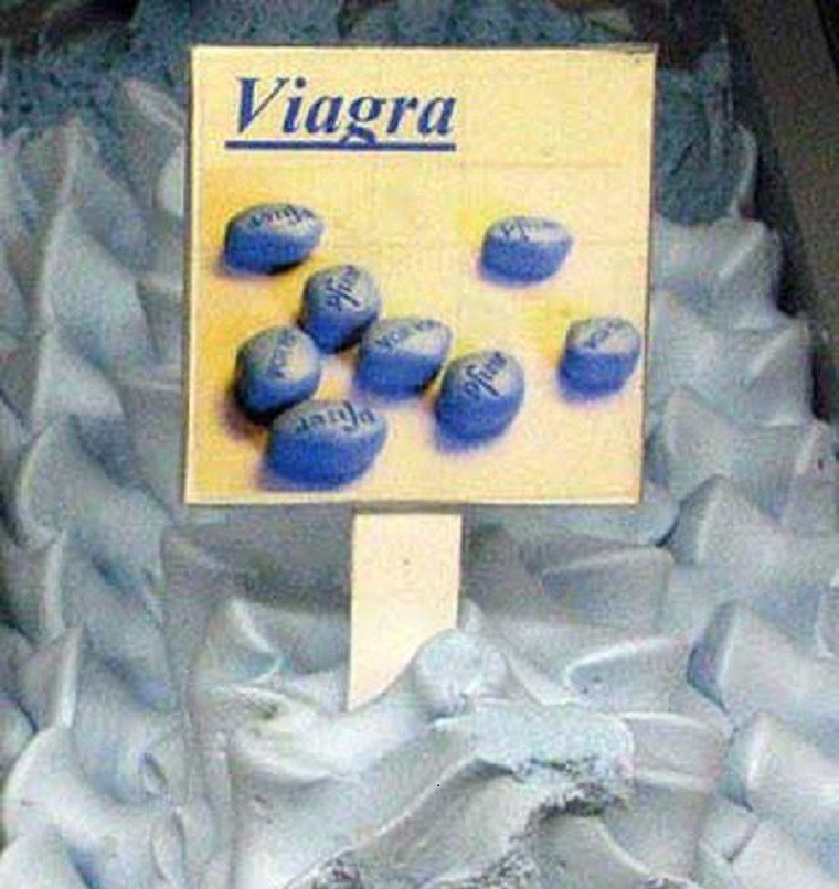 Kem Viagra ở Venezuela được ghi vào sách kỉ lục với hơn 900 vị khác nhau. Nó đặc biệt được các quý ông ưa chuộng