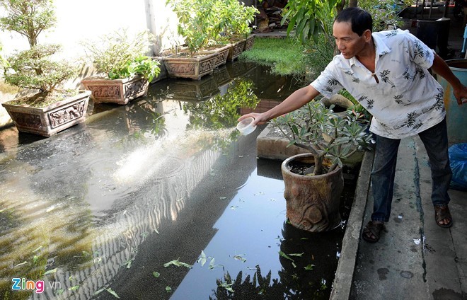 Nhà anh Nguyễn Song Anh Tuấn (số 220 An Dương Vương, phường 16, quận 8, TP HCM) không có cống tiêu thoát nên nước thải sinh hoạt của gia đình dâng cao khắp sân.