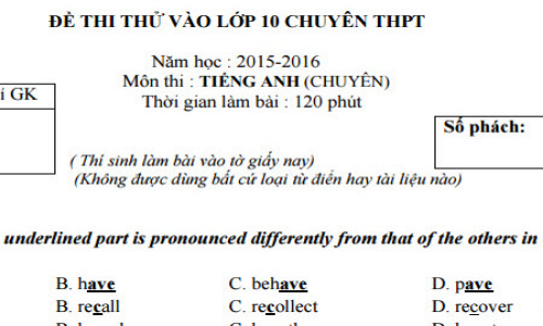 Đáp án, đề thi thử môn Anh vào lớp 10 THPT Chuyên HN-Amsterdam