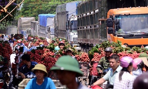 Cảnh ùn tắc, chen chúc ở chợ vải thiều lớn nhất Việt Nam 