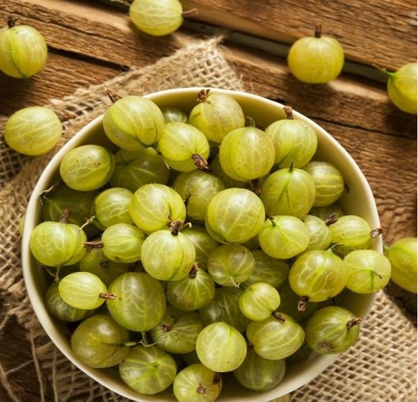  Quả lý gai Gooseberry hay còn gọi quả chùm ruột là loại quả chứa nhiều chất chống oxy hóa mạnh, dùng trong làm đẹp. Chúng còn là nguyên liệu trong các sản phẩm như bánh kẹo, mứt, bột, đồ ngâm và chế biến món ăn.