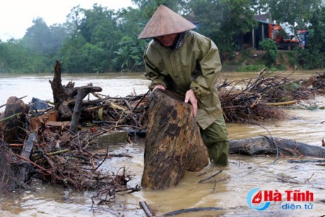 Trong những ngày này, khi đợt lũ chồng lũ lại kéo về các tỉnh miền Trung,  người dân vùng lũ lại tiếp tục oằn mình chống đỡ với "cơn thịnh nộ của thiên nhiên". Để mưu sinh, không ít người mạo hiểm tính mạng để ra giữa dòng nước dữ vớt củi, đánh cá. Ảnh chụp người dân ở Hương Khê (Hà Tĩnh) liều mình để vớt gỗ, củi đăng trên báo Hà Tĩnh khiến nhiều người không khỏi thót tim. Nguồn ảnh: Hà Tĩnh điện tử.