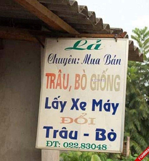 Lấy xe máy... đổi trâu bò ư?