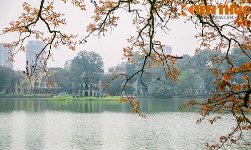 Hà Nội đẹp nao lòng mùa cây thay lá