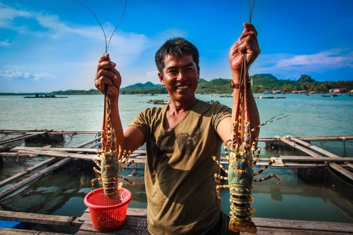 Vịnh biển thuộc thôn Bình Ba, xã Cam Bình (Cam Ranh - Khánh Hòa) có nhiều lợi thế được thiên nhiên ban tặng để nuôi trồng thủy hải sản. Ảnh: Báo giao thông.