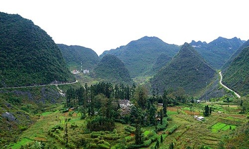 Khu  Dinh thự họ Vương tọa lạc dưới thung lũng Sà Phìn, huyện Đồng Văn, Hà Giang. Khu dinh thự được bao quanh bởi những núi đá vôi và che khuất trong những hàng cây sa mộc.